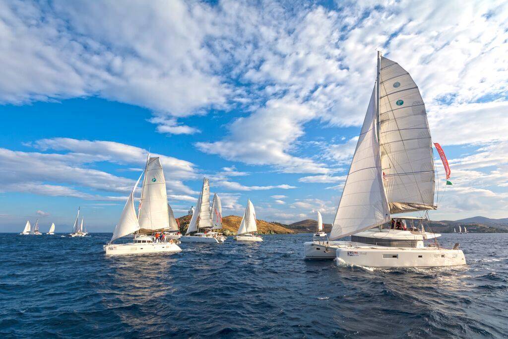 Competition for the 9th Catamarans Cup